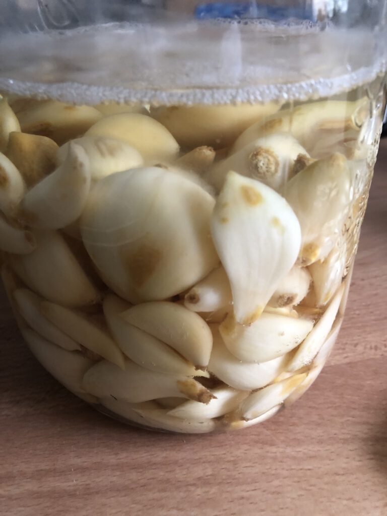 Fermenting Garlic